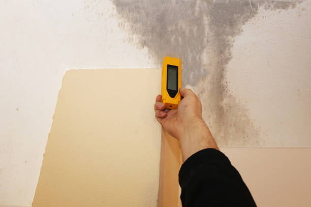 Best Residential Mold Inspection & Testing  in Tuckahoe, NY