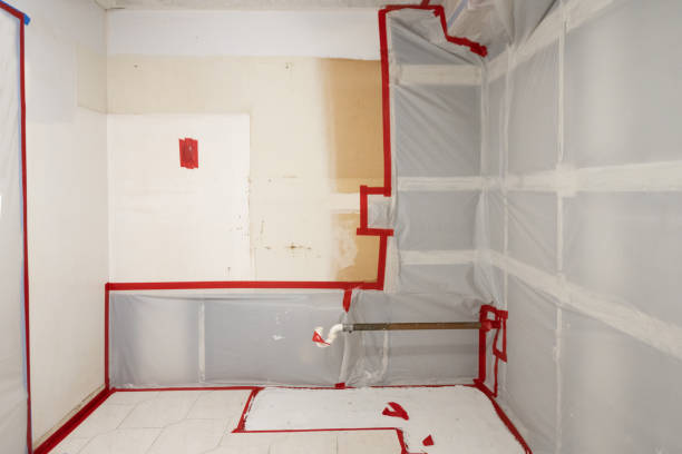 Professional Mold Removal in Tuckahoe, NY
